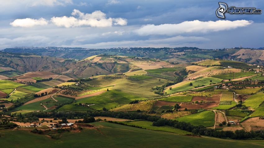 fields, view of the landscape