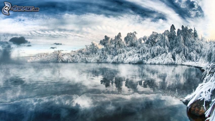 frozen forest, lake, water