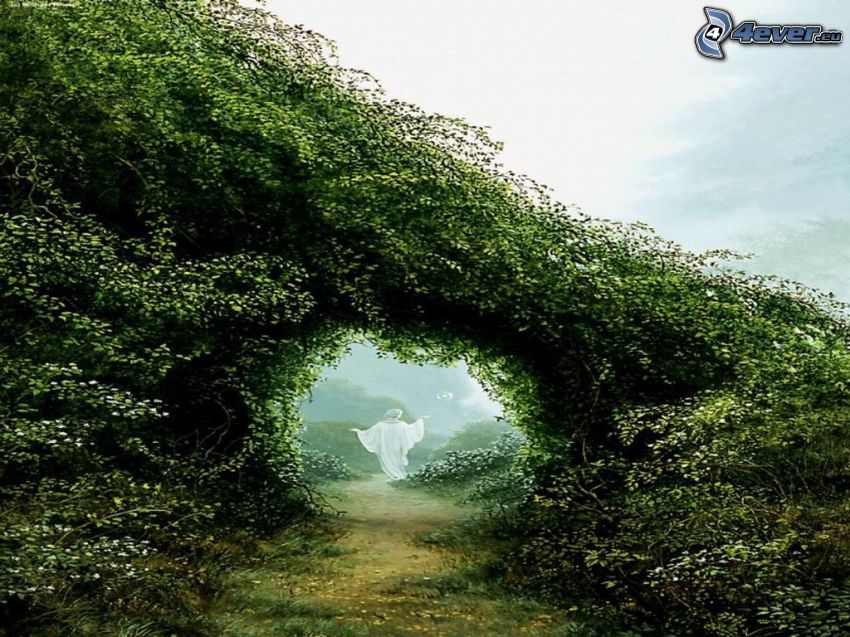 green tunnel, nature