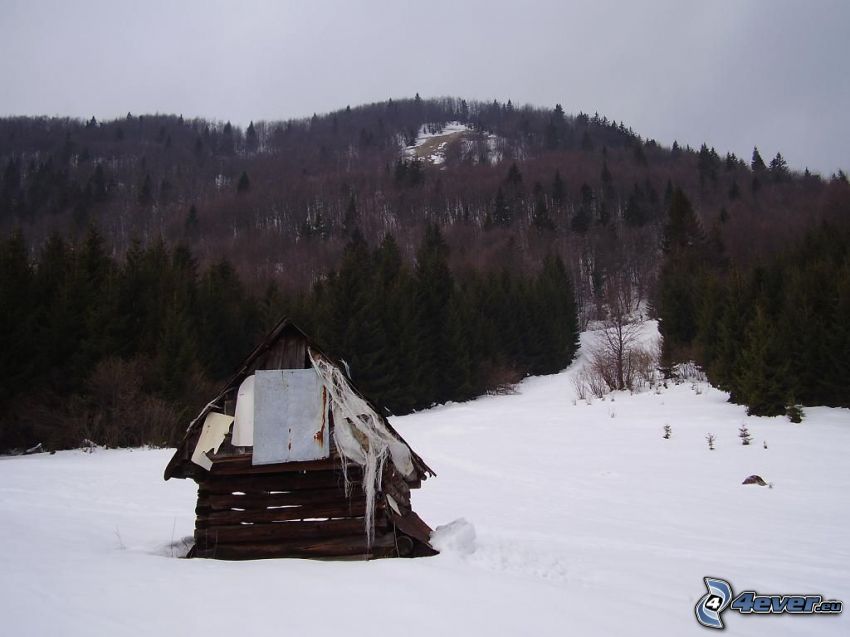 hayloft, snow, forest, hill