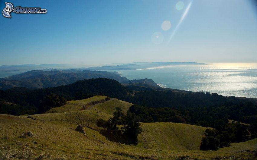 hills, meadow, trees, the view of the sea