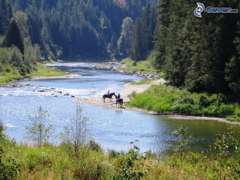 horsemen, River, forest, nature