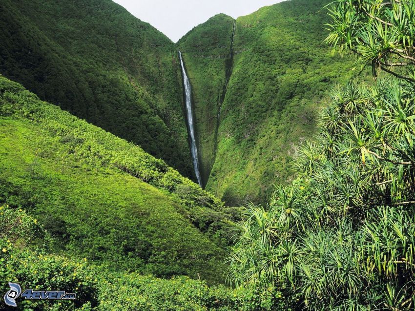 huge waterfall, mountain, greenery