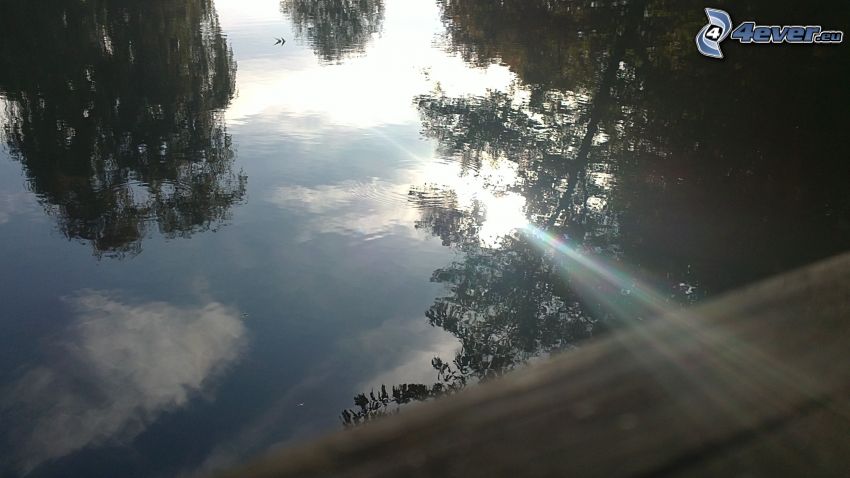 lake, reflection