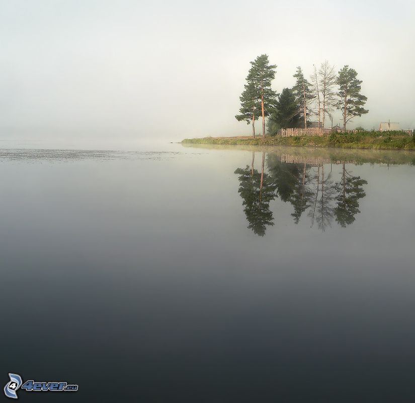 large lake, trees, fog, island