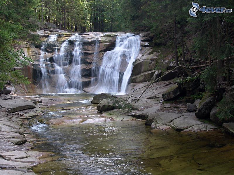 Mumlava waterfall, waterfall in the forest, stream