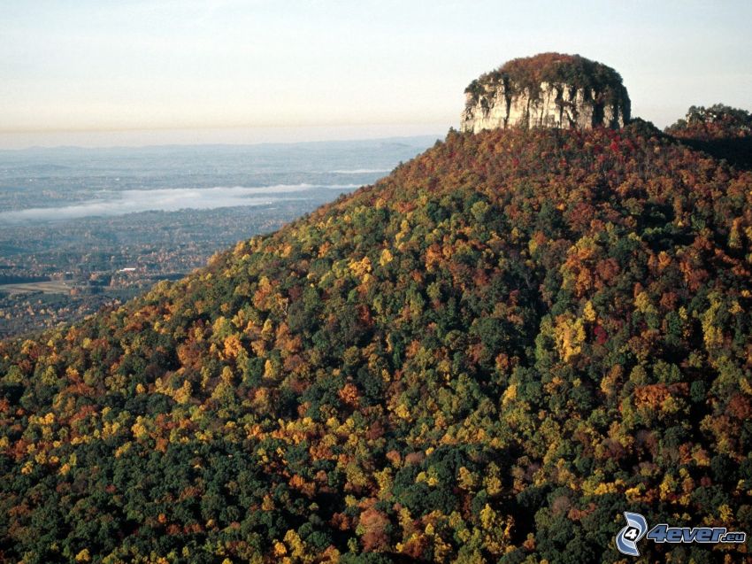 Pilot Mountain, hill, forest, autumn trees
