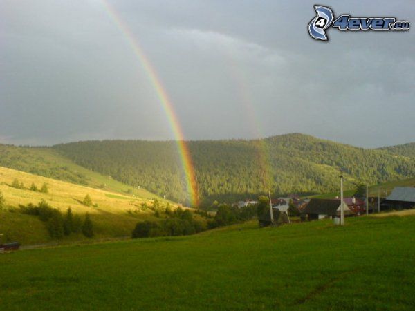 rainbow, nature, forest, meadow