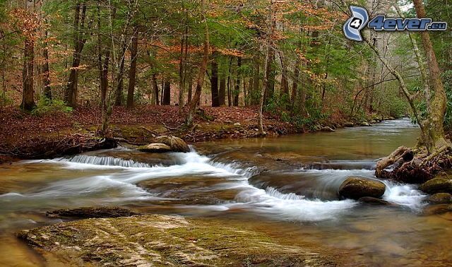 river in woods, rocks, stream, autumn