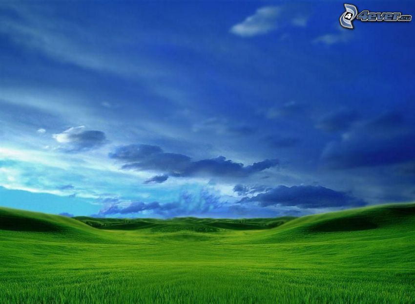 sky, meadow, field, cloud