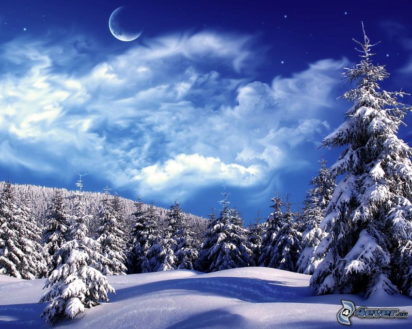 snowy forest, moon, clouds