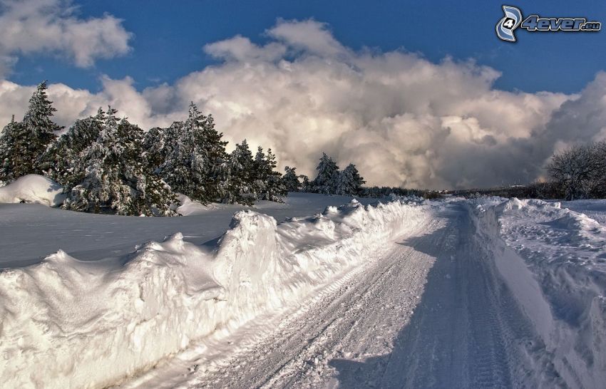 snowy landscape, snow-covered road, coniferous trees, clouds