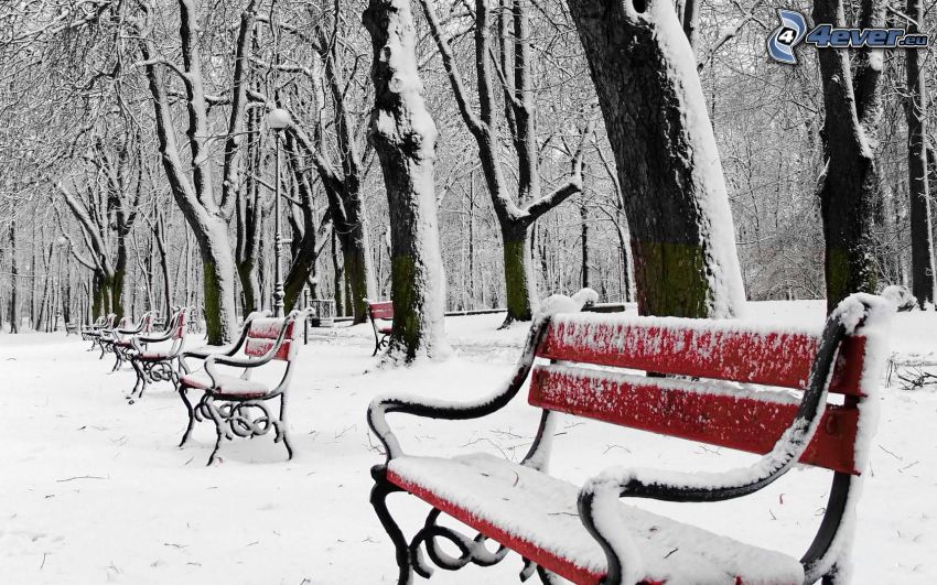 snowy park, snow-covered benches