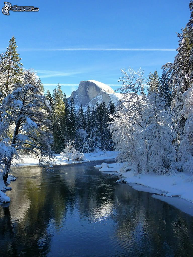snowy Yosemite National Park, Half Dome, River, frozen forest