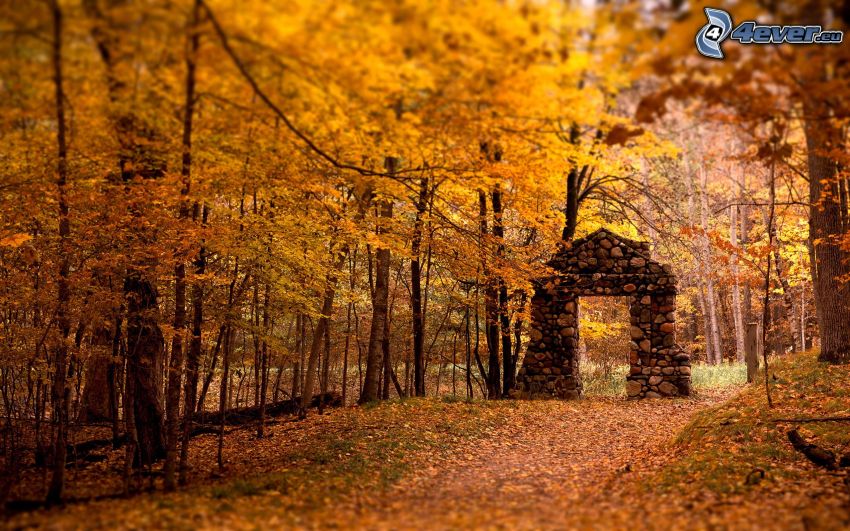 stone gate, yellow autumn forest, leaves