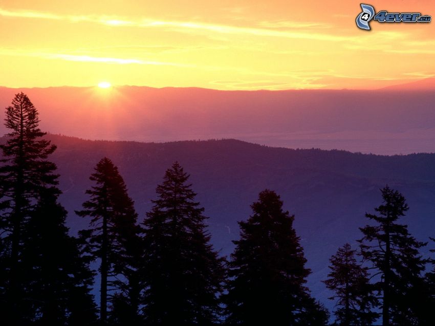 sunset behind the mountains, silhouettes of the trees, mountain