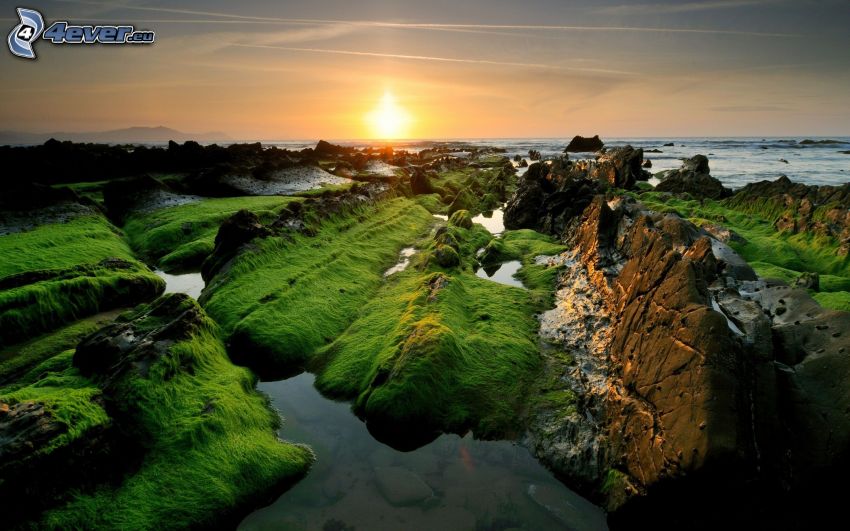 sunset behind the sea, rocky coastline, moss