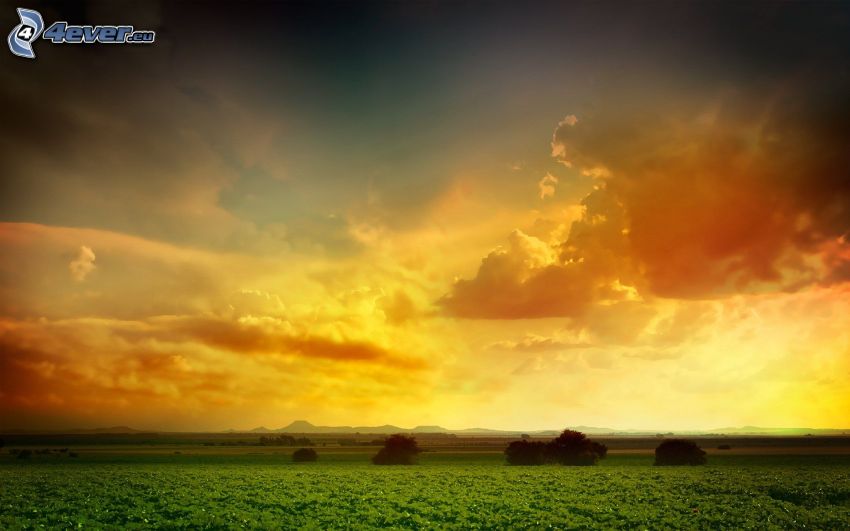 sunset in the field, landscape