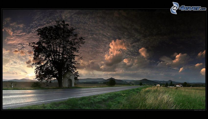 tree by road, chapel, dark sky