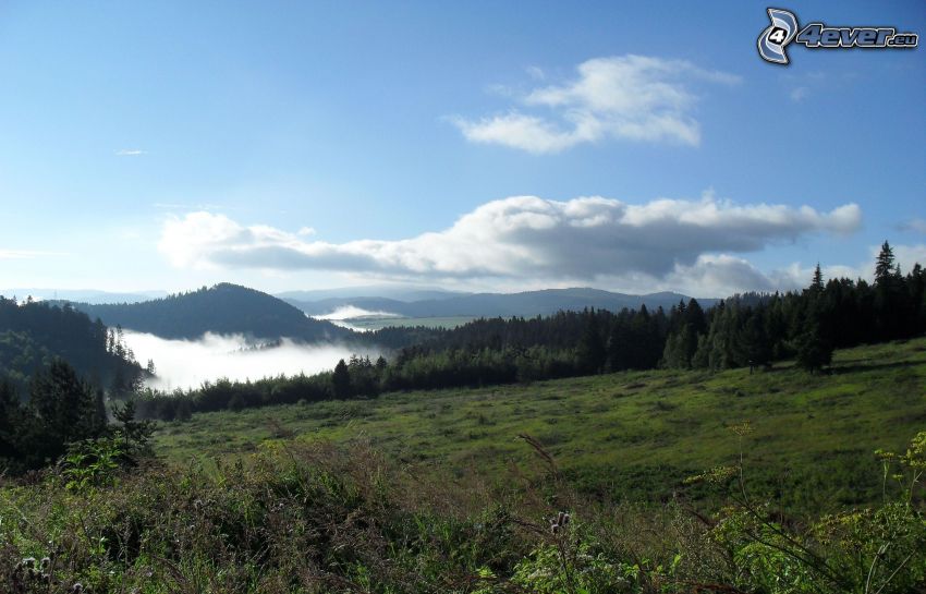 valley, fog, panorama, sky