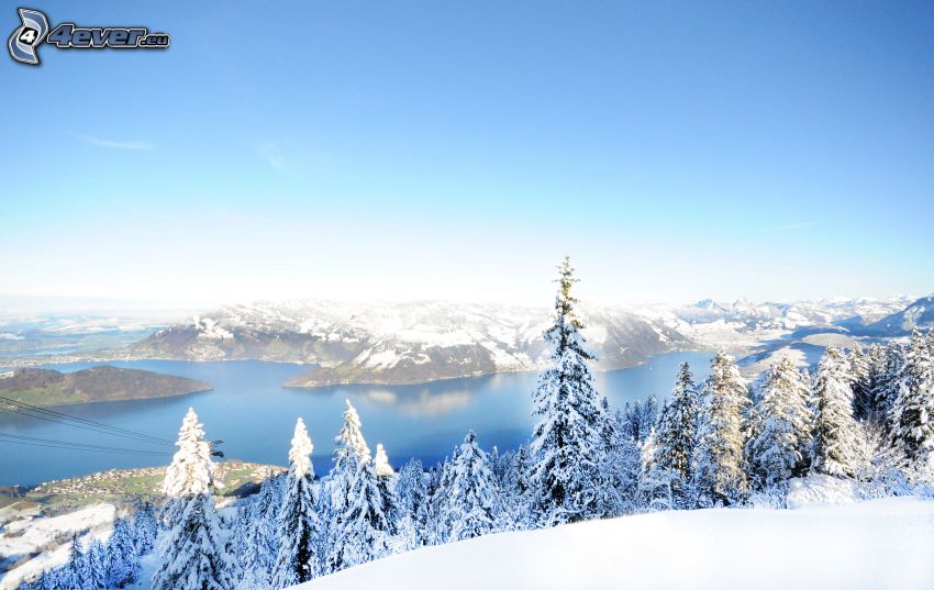 view of the landscape, lake, snowy forest, hills
