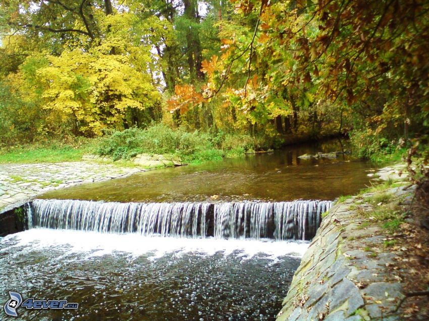 waterfall, stream, autumn, ford