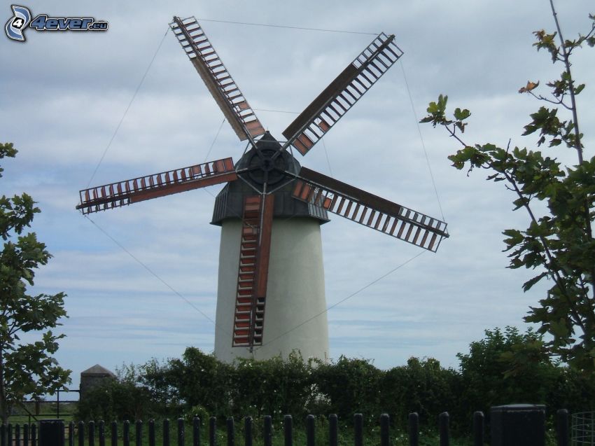 windmill, sky, trees