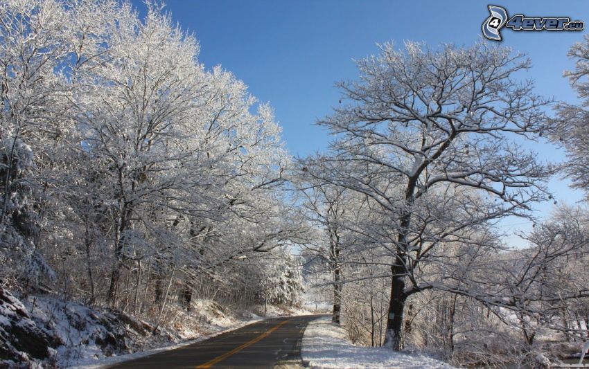 winter road, snow