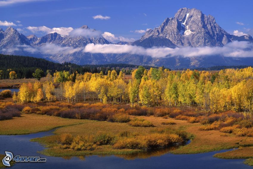 yellow autumn forest, wetlands, rocky mountains, River