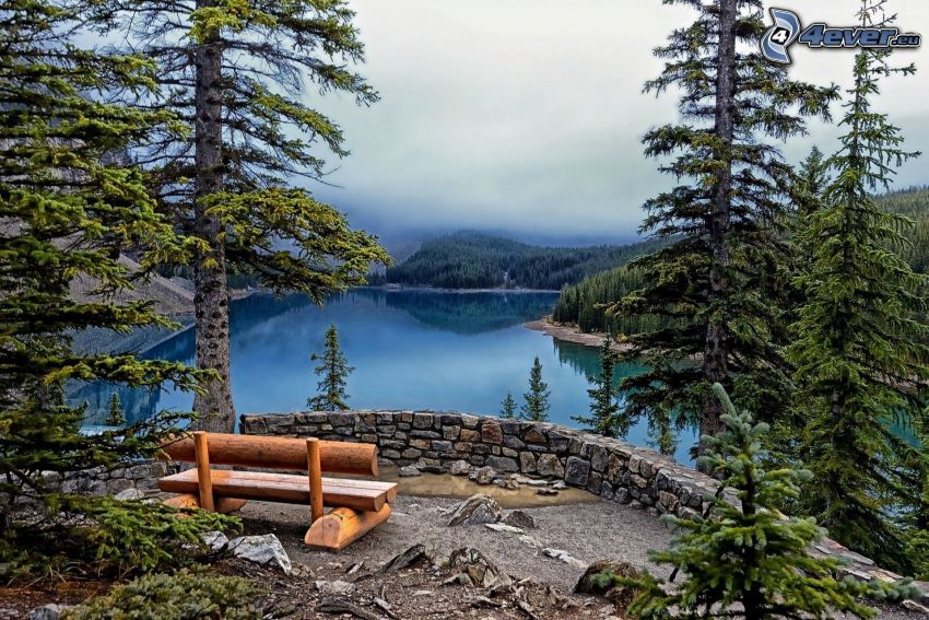 Moraine Lake, bench, coniferous trees