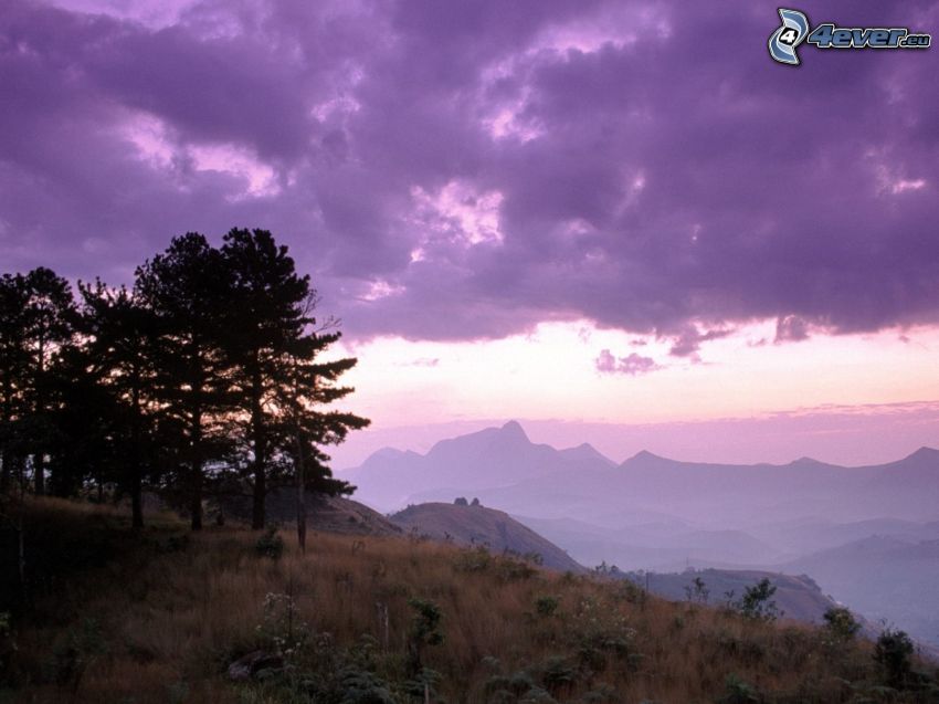 mountain, trees, purple sky