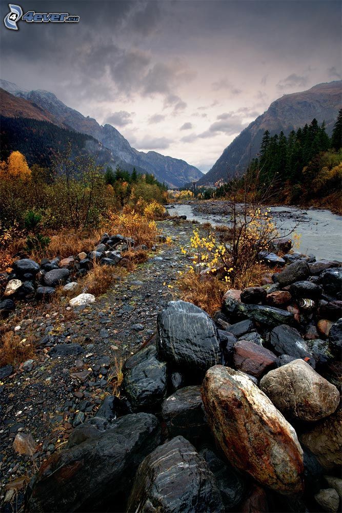 mountain stream, rocks, hills, autumn trees
