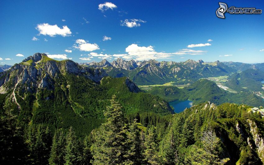 Alps, mountain lake, forest