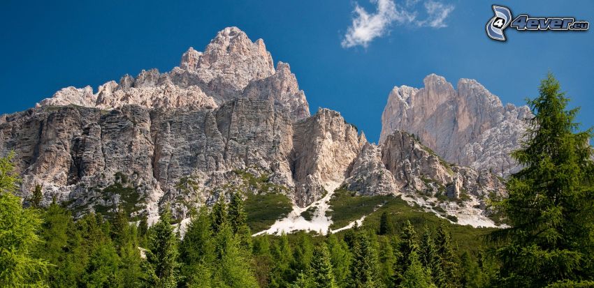 Dolomites, rocky mountains, coniferous forest