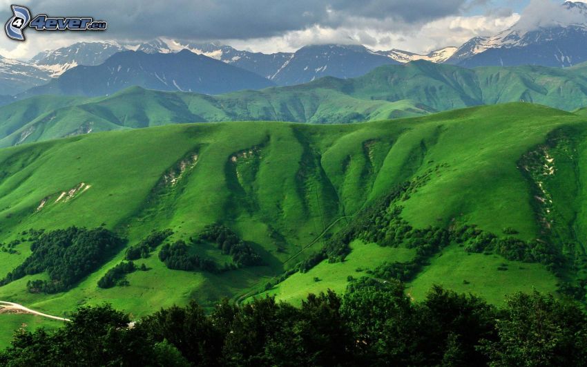 hills, green meadow, trees, mountains