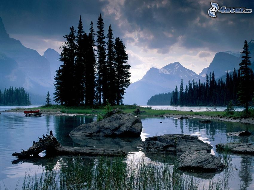 Jasper National Park, Alberta, Canada, coniferous trees, island, River, mountains, rocks
