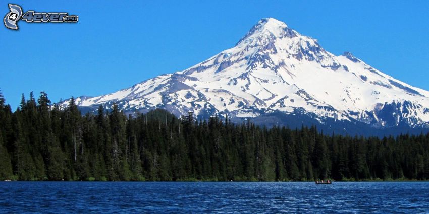 Mount Hood, snowy hill, forest, lake