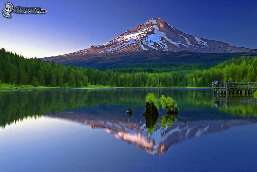 Mount Hood, snowy hill, forest, lake