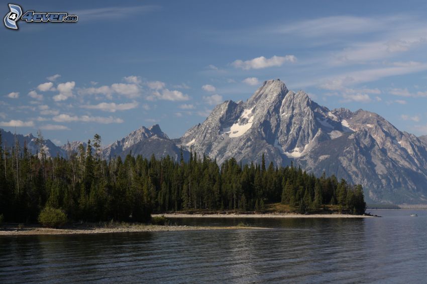 Mount Moran, Wyoming, lake, coniferous forest, rocky mountains