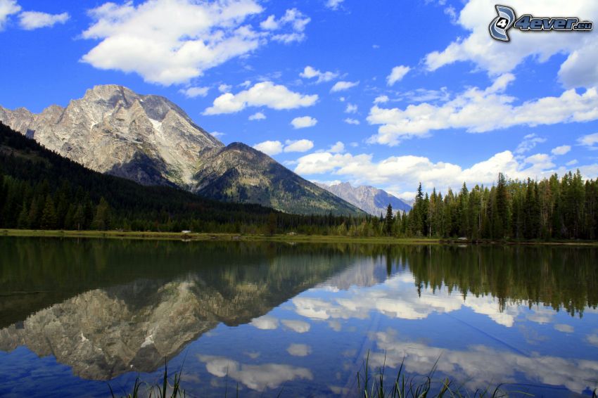 Mount Moran, Wyoming, rocky mountains, lake, reflection, coniferous forest