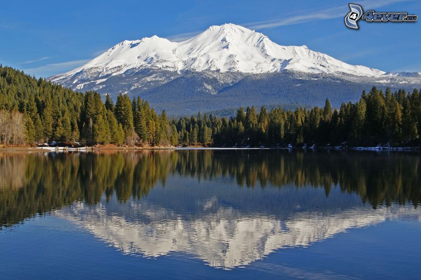 Mount Shasta, mountain lake, forest, reflection, snowy hill