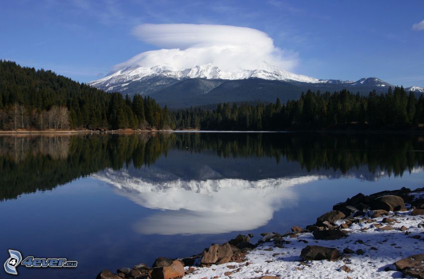 Mount Shasta, snowy hill, mountain lake, forest