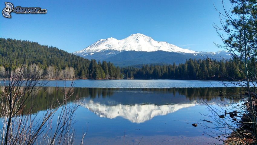Mount Shasta, snowy hill, mountain lake, forest