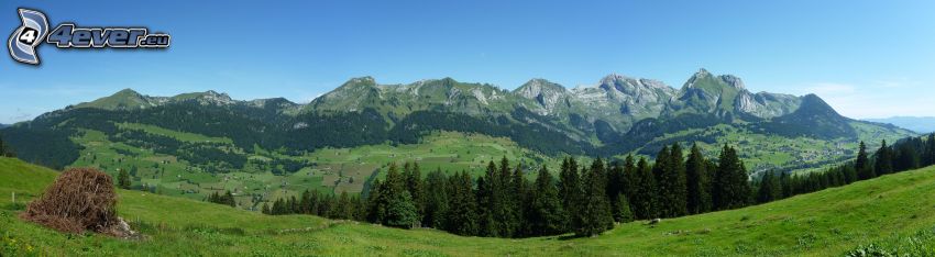 mountain, forests and meadows, panorama