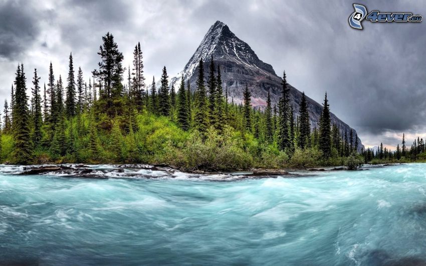 River, coniferous trees, rocky mountain