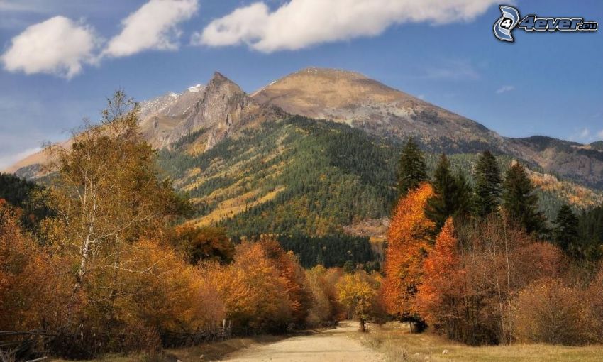 road, colorful autumn trees, coniferous trees, hills