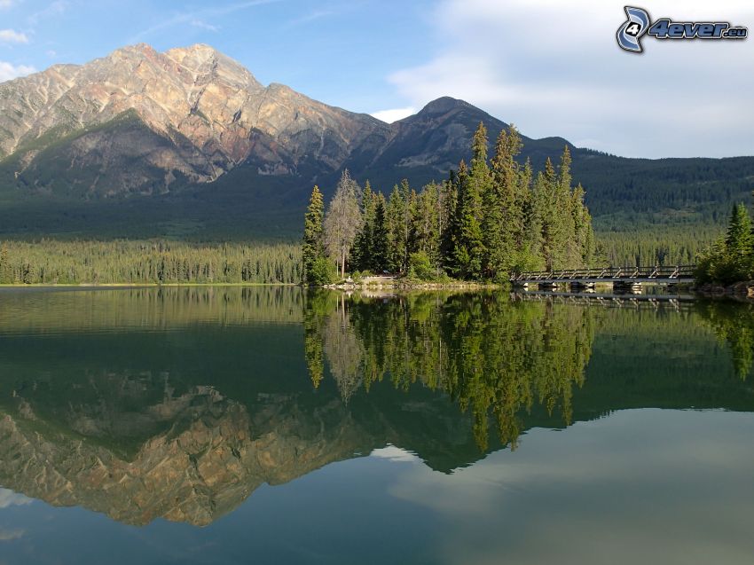 rocky mountain, coniferous forest, lake, reflection