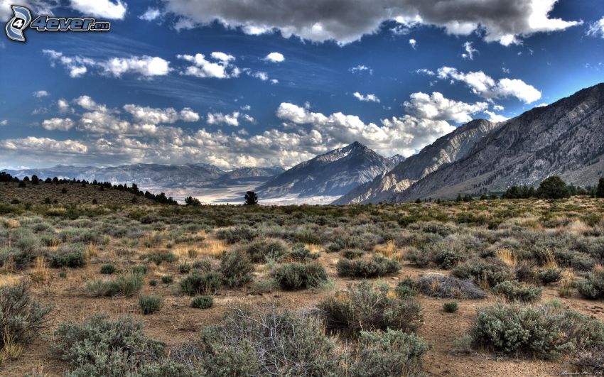 rocky mountains, clouds, meadow, HDR