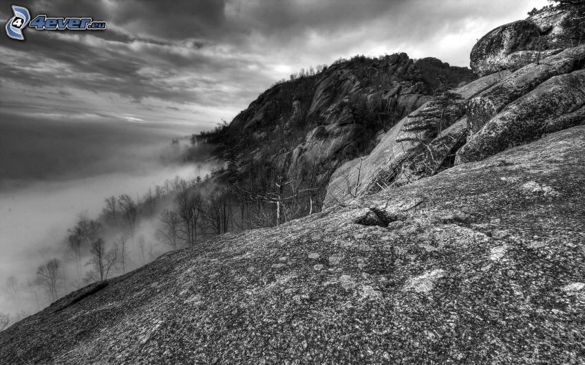 rocky mountains, fog, black and white photo