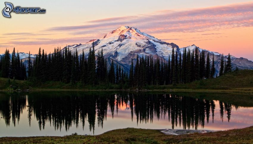 snowy mountain above the lake, coniferous trees, reflection, sunset